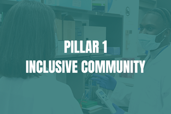 Pillar 1 Inclusive community
