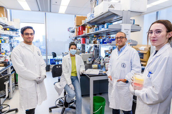 Four scientists in a laboratory looking at the camera