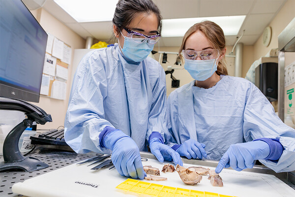 Two women in a pathology laboratory looking at a specimen