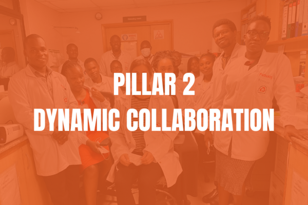 Pillar 2 dynamic collaboration