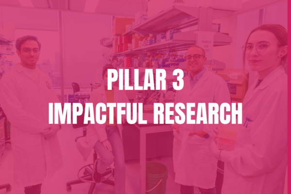 Pillar 3 impactful research