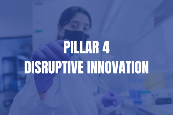 Pillar 4 disruptive innovation