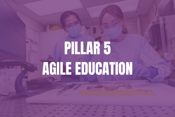 Pillar 5 agile education