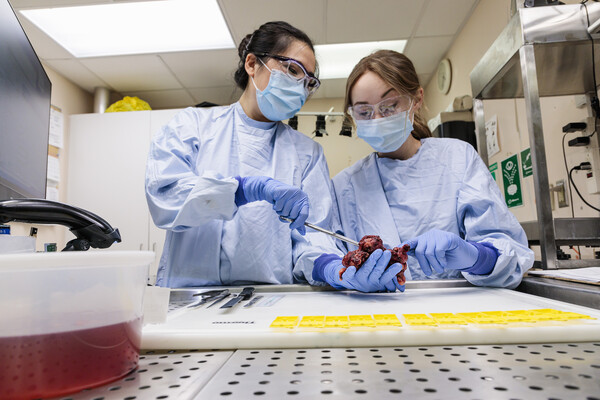 two women in scrubs look at something in a laboratory