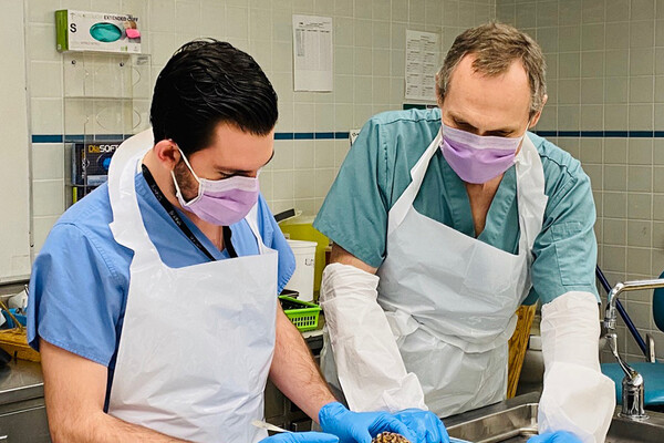 two men in a pathology lab