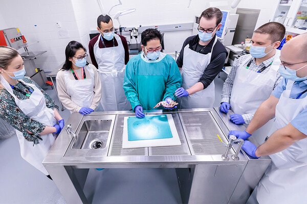 A group of people standing around a table in a autopsy suite looking at a sample