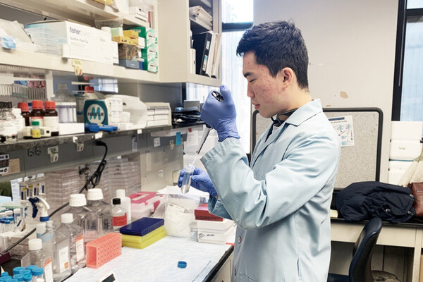 David Ngai in the lab