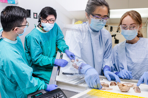 People working with specimens in a lab