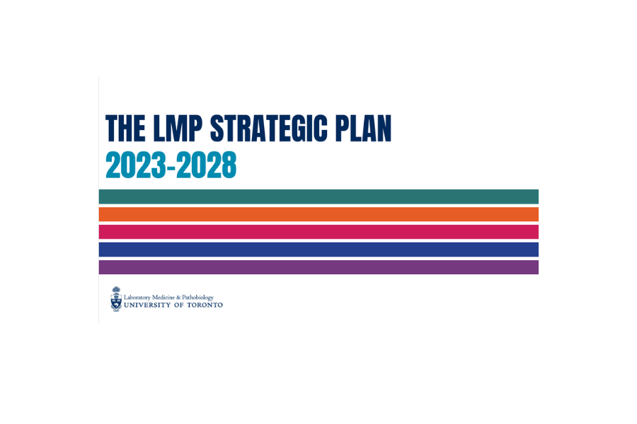 The LMP Strategic Plan