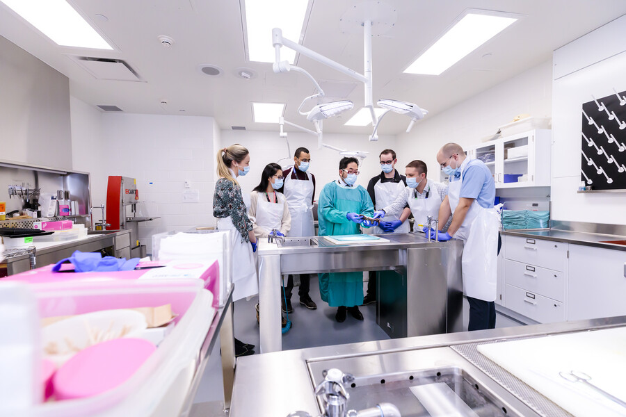 Medical students in the gross lab