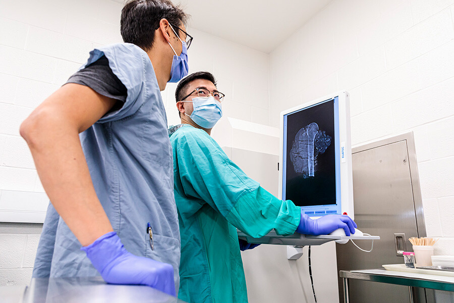 Two men in scrubs looking at an X-Ray